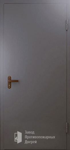 Фото двери «Техническая дверь №1 однопольная» в Жуковскому