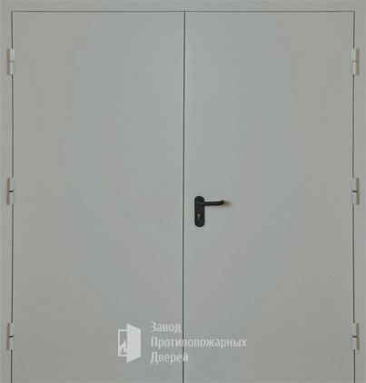 Фото двери «Двупольная глухая EI-30» в Жуковскому