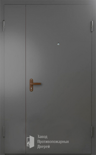 Фото двери «Техническая дверь №6 полуторная» в Жуковскому