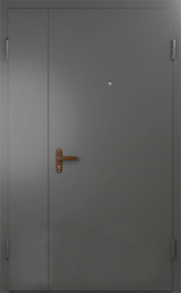 Фото двери «Техническая дверь №6 полуторная» в Жуковскому